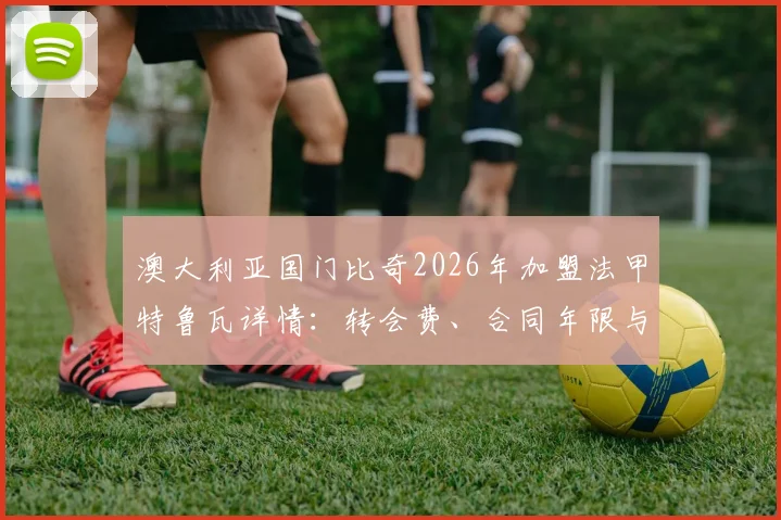 澳大利亚国门比奇2026年加盟法甲特鲁瓦详情：转会费、合同年限与球队前景分析